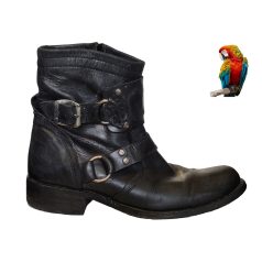 -SENDRA-