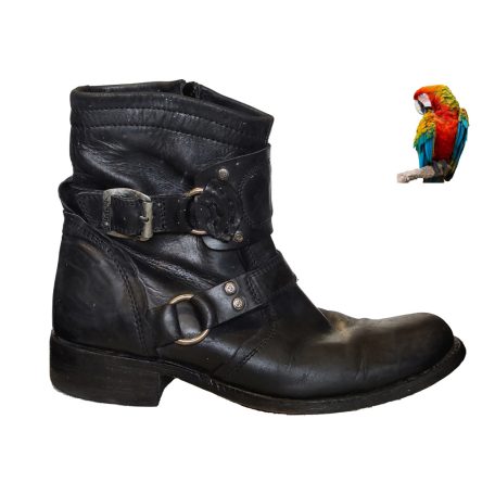  -SENDRA-